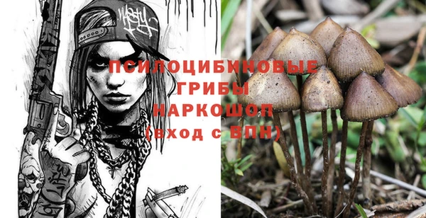 прущая мука Саяногорск