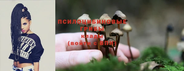 марки nbome Алзамай
