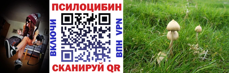 нарко площадка формула  Бологое  Галлюциногенные грибы ЛСД 